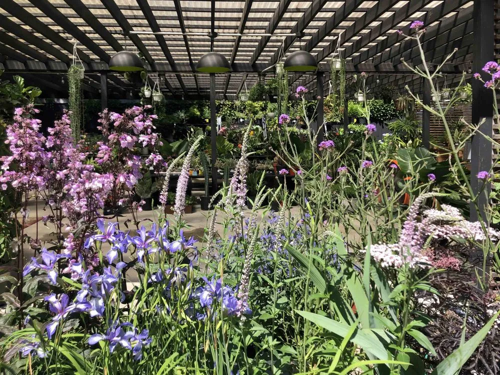 Affordable residential landscaping for beautiful yards across Brooklyn, NY - Outside Space - Brooklyn