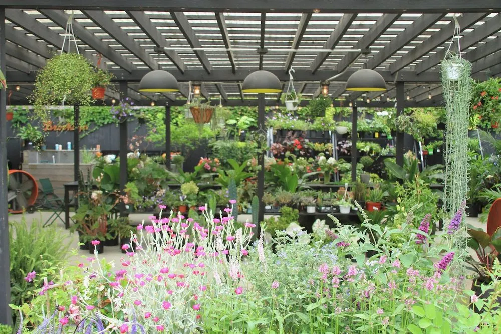 Top-rated outdoor landscaping with custom design in Brooklyn, NY by Outside Space - Brooklyn