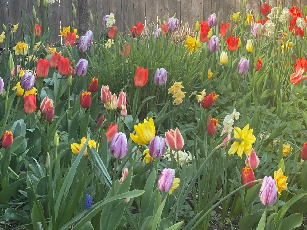 Expert outdoor landscaping in Brooklyn, NY - Outside Space - Brooklyn