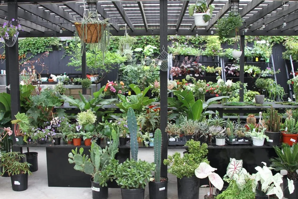 Trusted landscape design for homes in Brooklyn, NY by Outside Space - Brooklyn