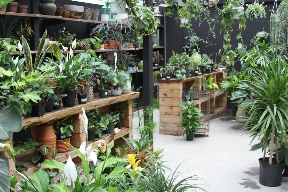 Local lawn mowing service in Brooklyn, NY by Outside Space - Brooklyn