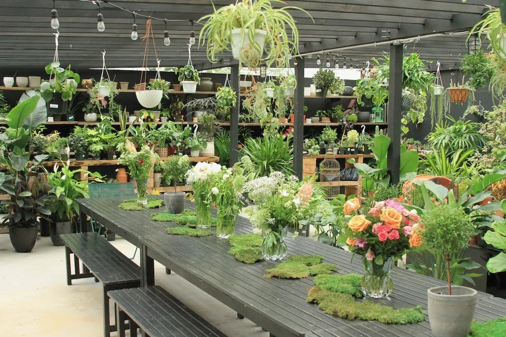 Expert lawn care service in Brooklyn, NY by Outside Space - Brooklyn