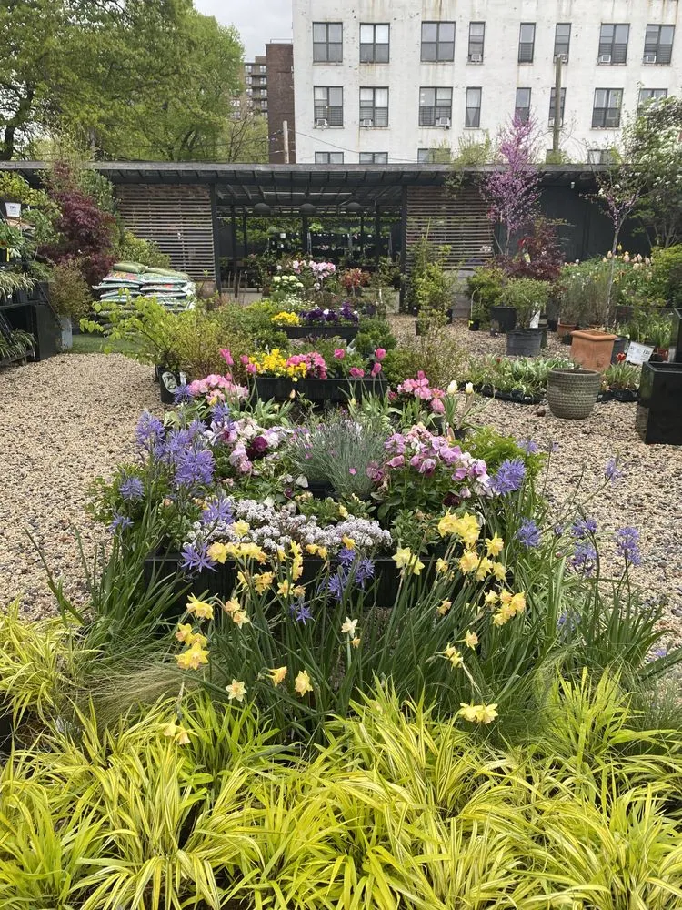 Local lawn mowing service for residential properties in Brooklyn, NY by Outside Space - Brooklyn