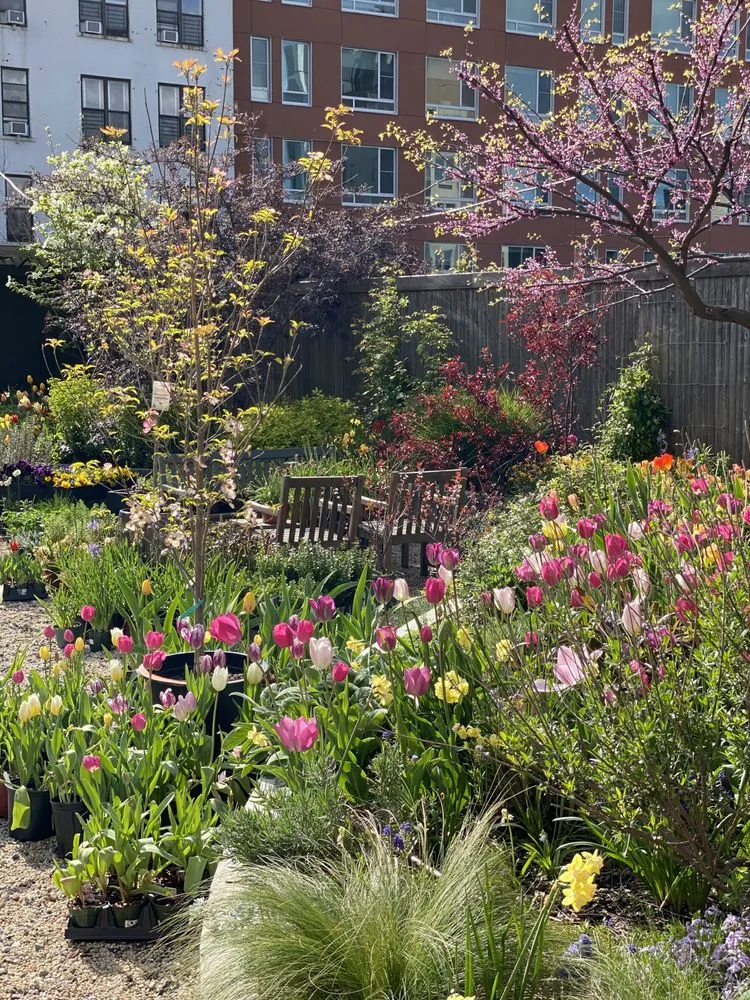 Trusted garden landscaping in Brooklyn, NY - Outside Space - Brooklyn