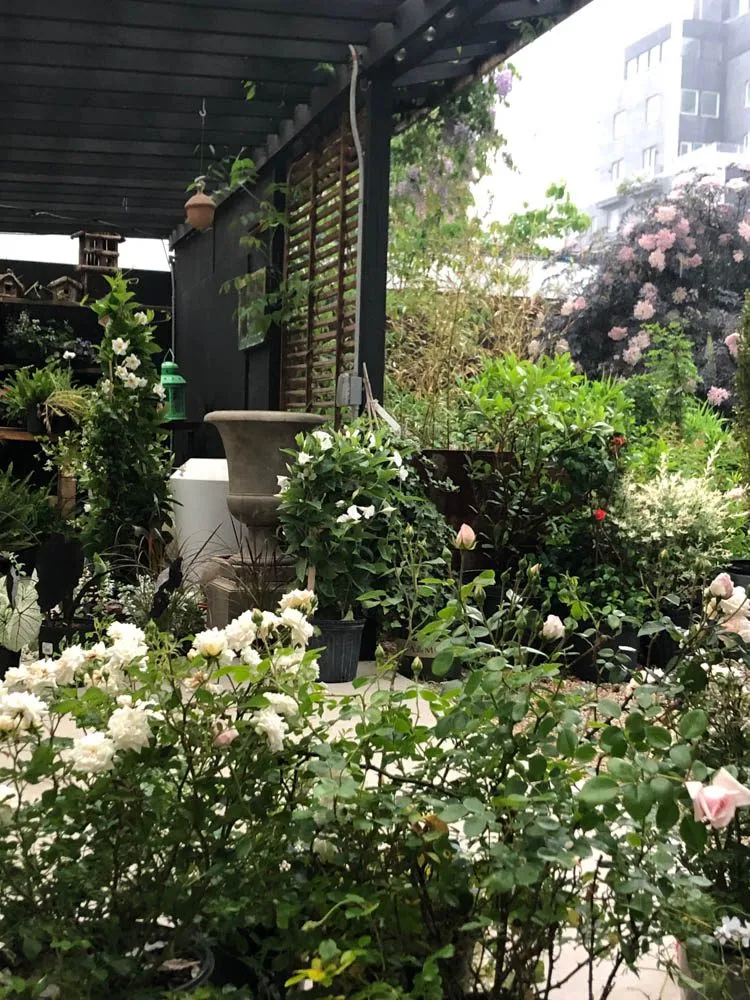 Reliable residential landscaping experts serving Brooklyn, NY - Outside Space - Brooklyn