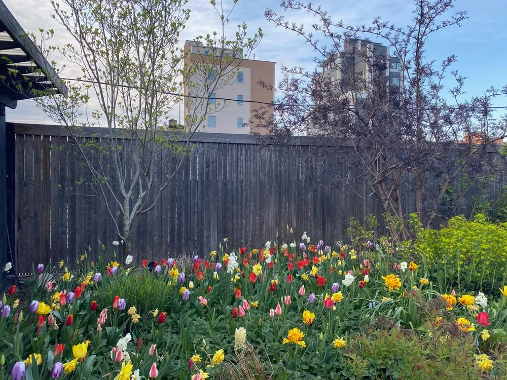 Affordable landscape installation with custom design across Brooklyn, NY - Outside Space - Brooklyn