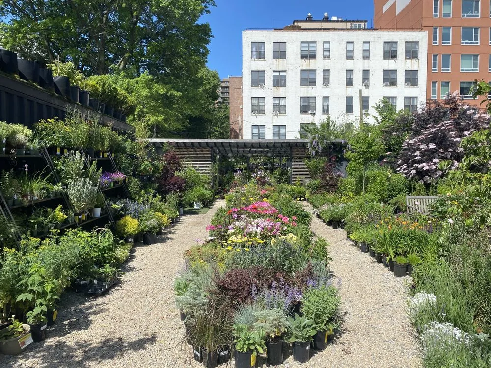 Local yard cleanup service experts serving Brooklyn, NY - Outside Space - Brooklyn