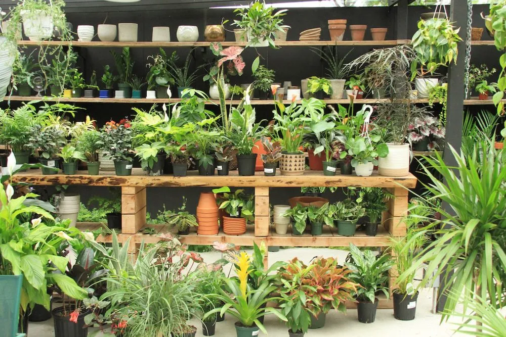 Professional landscape design in Brooklyn, NY - Outside Space - Brooklyn