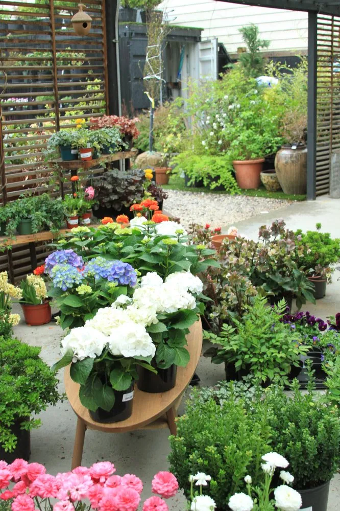 Expert landscape design for residential properties across Brooklyn, NY - Outside Space - Brooklyn