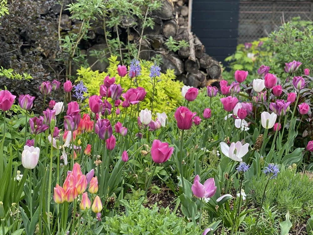 Local lawn mowing service experts serving Brooklyn, NY - Outside Space - Brooklyn