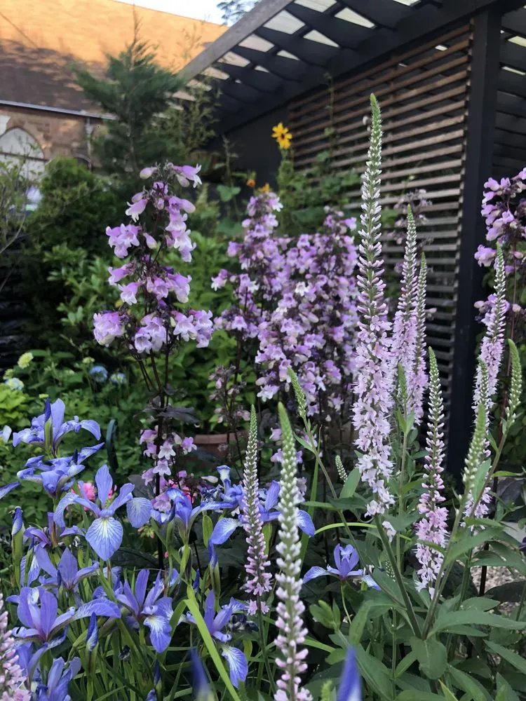 Trusted yard cleanup service near you in Brooklyn, NY by Outside Space - Brooklyn