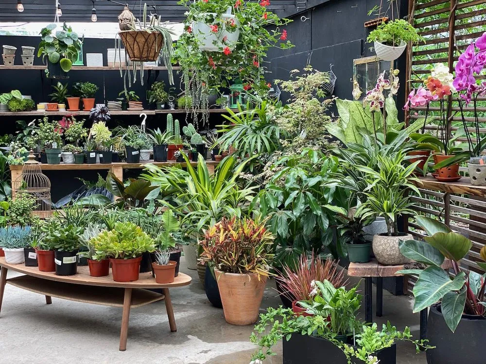 Trusted lawn mowing service experts serving Brooklyn, NY - Outside Space - Brooklyn