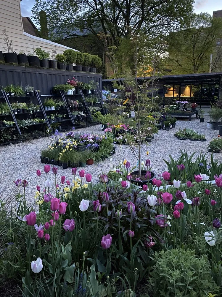 Local yard maintenance in Brooklyn, NY - Outside Space - Brooklyn