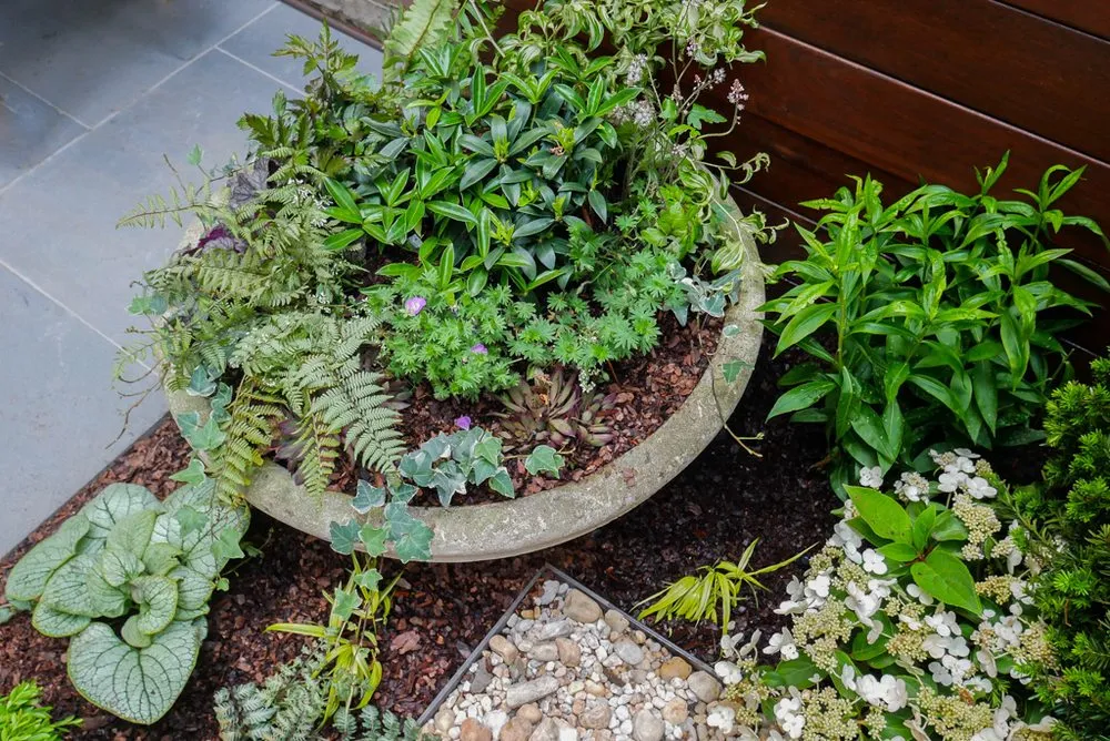 Local yard cleanup service experts serving Brooklyn, NY - Outside Space NYC