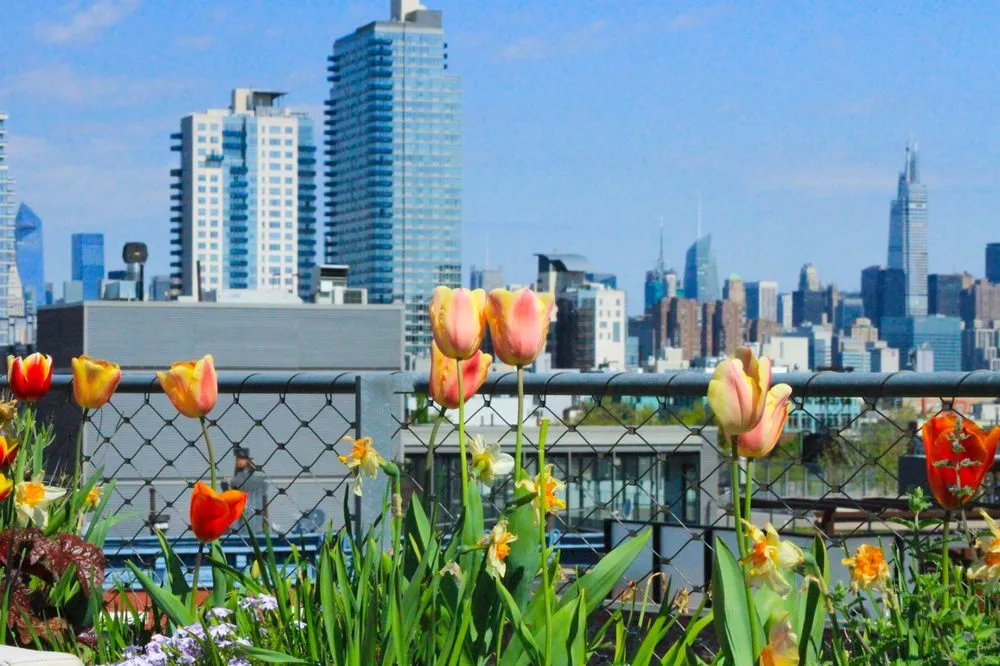 Expert landscape design with custom design across Brooklyn, NY - Outside Space NYC