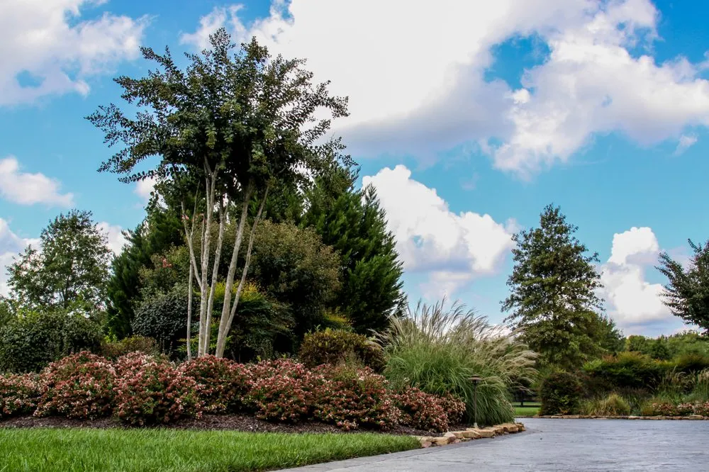 Professional garden landscaping in Franklin, TN by Outside the House