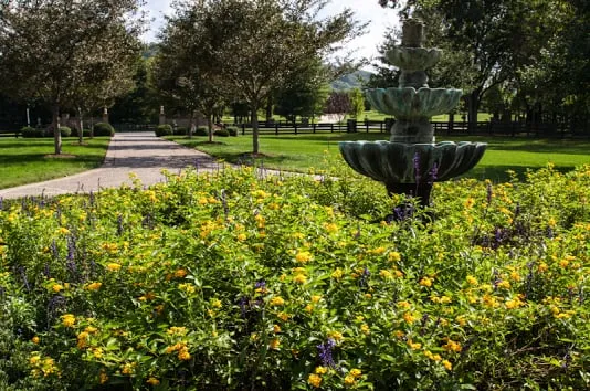 Affordable yard cleanup service for beautiful yards across Franklin, TN - Outside the House