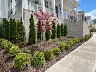 Trusted landscape design in Franklin, TN - Outside the House