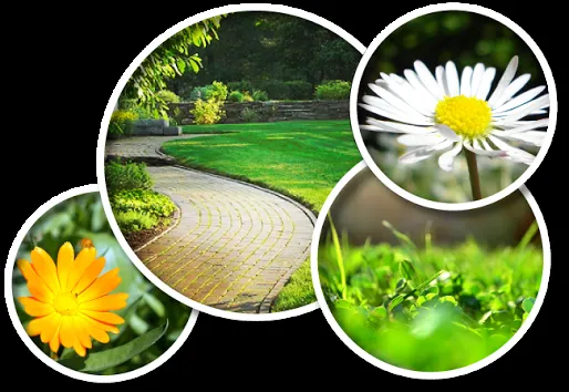 Custom lawn care service for year-round maintenance across Franklin, TN - Outside the House