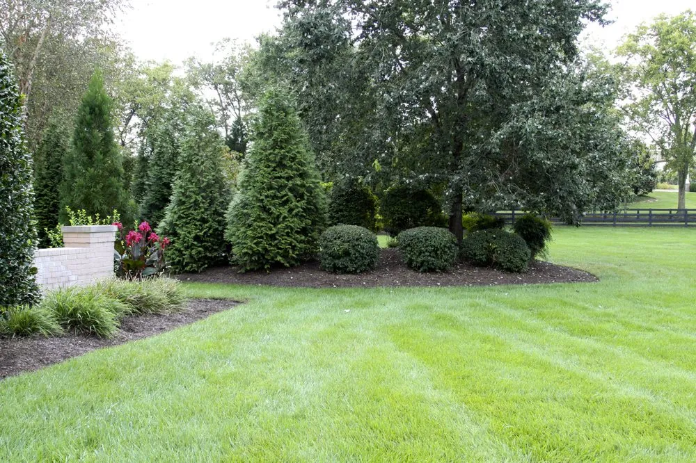 Custom garden landscaping in Franklin, TN - Outside the House