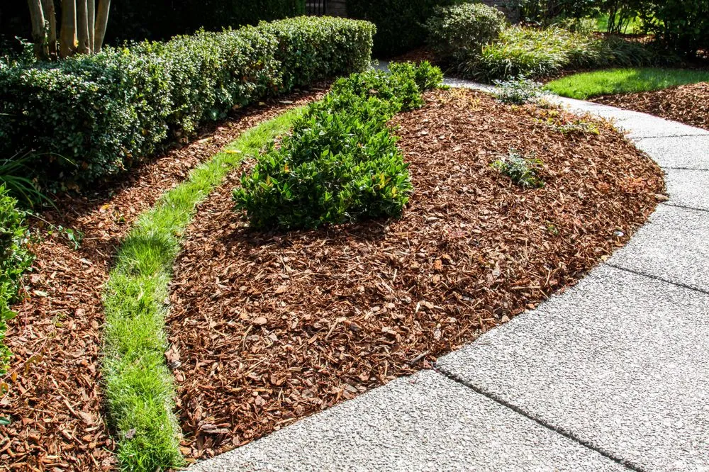 Professional landscape design for outdoor upgrades across Franklin, TN - Outside the House