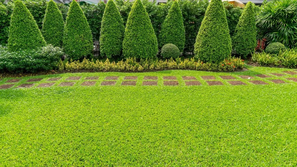 Trusted lawn care service near you across Franklin, TN - Outside the House