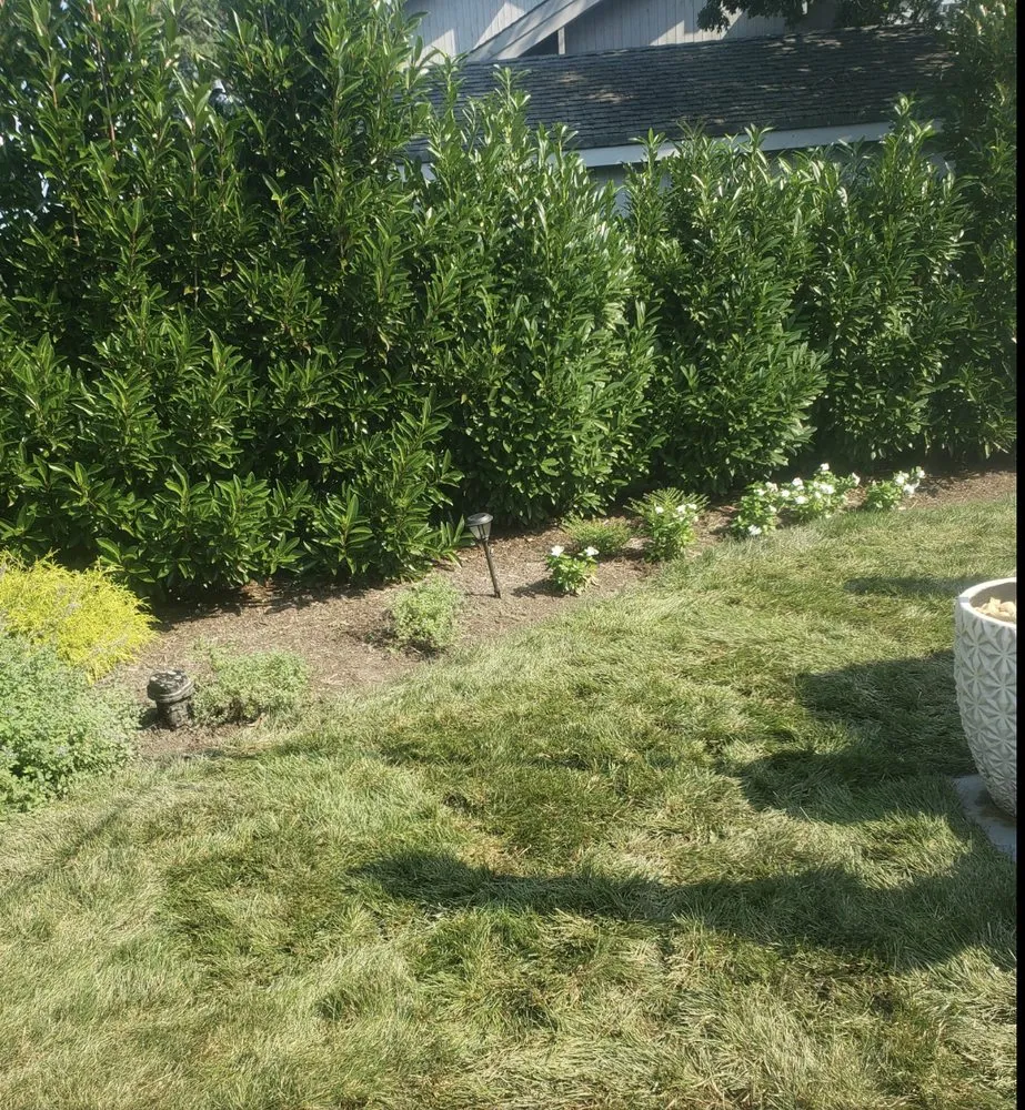 Expert lawn care service for homes in Lusby, MD by Outside Unlimited Landscaping