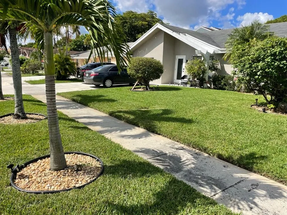 Reliable landscaping services in North Lauderdale, FL - Outsiders Pro