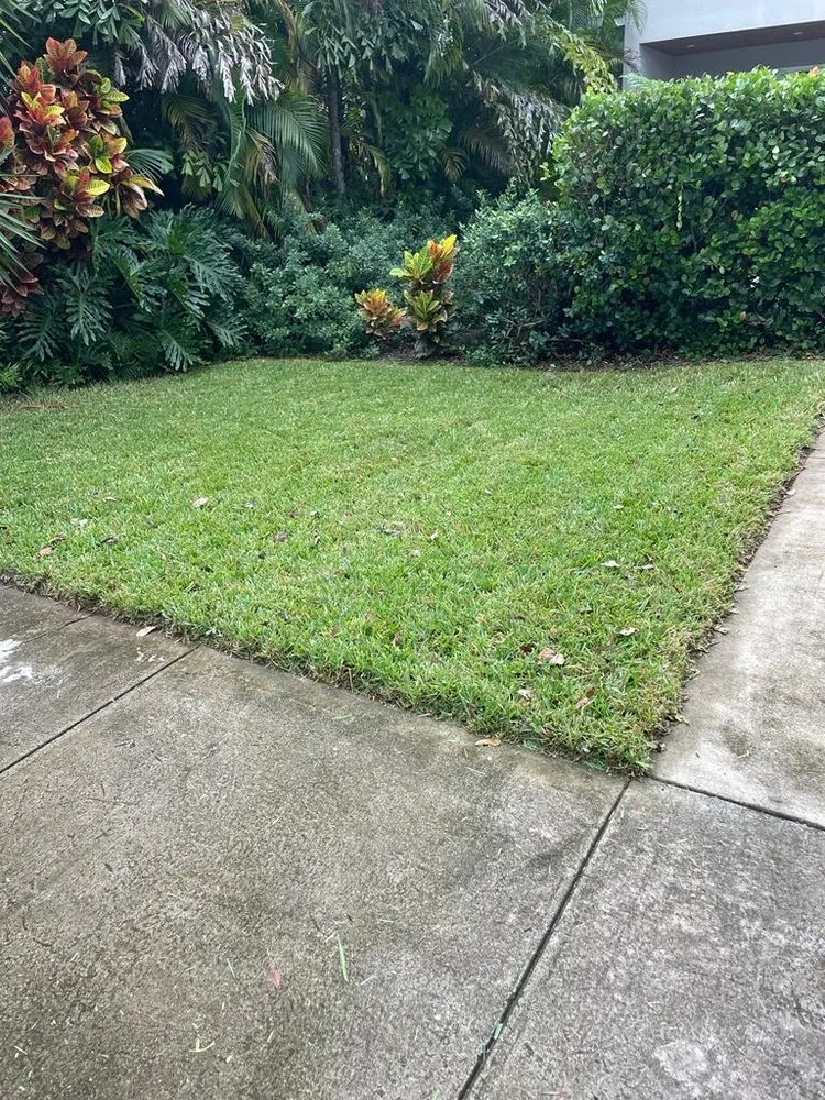 Reliable yard cleanup service in North Lauderdale, FL by Outsiders Pro