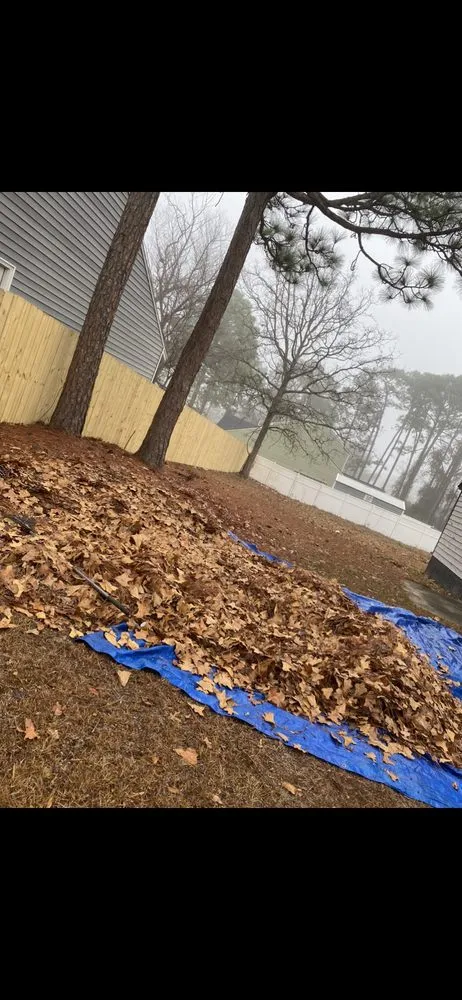 Top-rated landscape installation in Fayetteville, NC - Outskirts Landscaping & Services