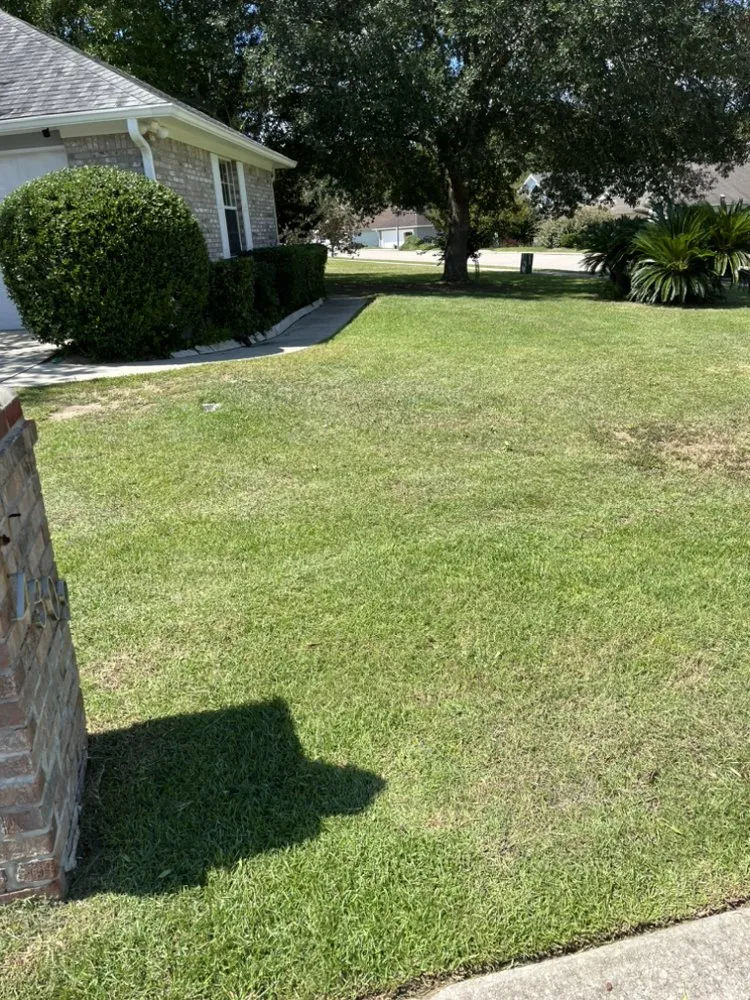 Professional garden landscaping with custom design across Tallahassee, FL - Outskirts Lawn Care & Maintenance