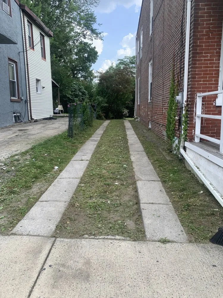 Reliable yard cleanup service in Norristown, PA - Outstanding Cuts
