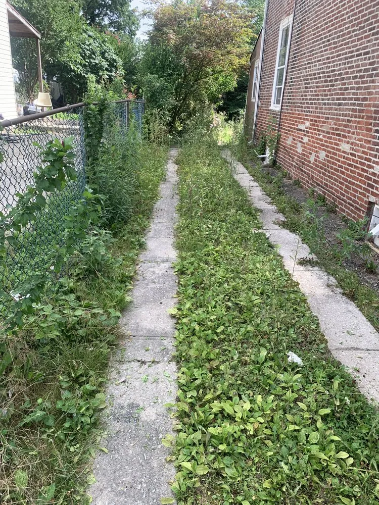 Professional landscaping services in Norristown, PA - Outstanding Cuts