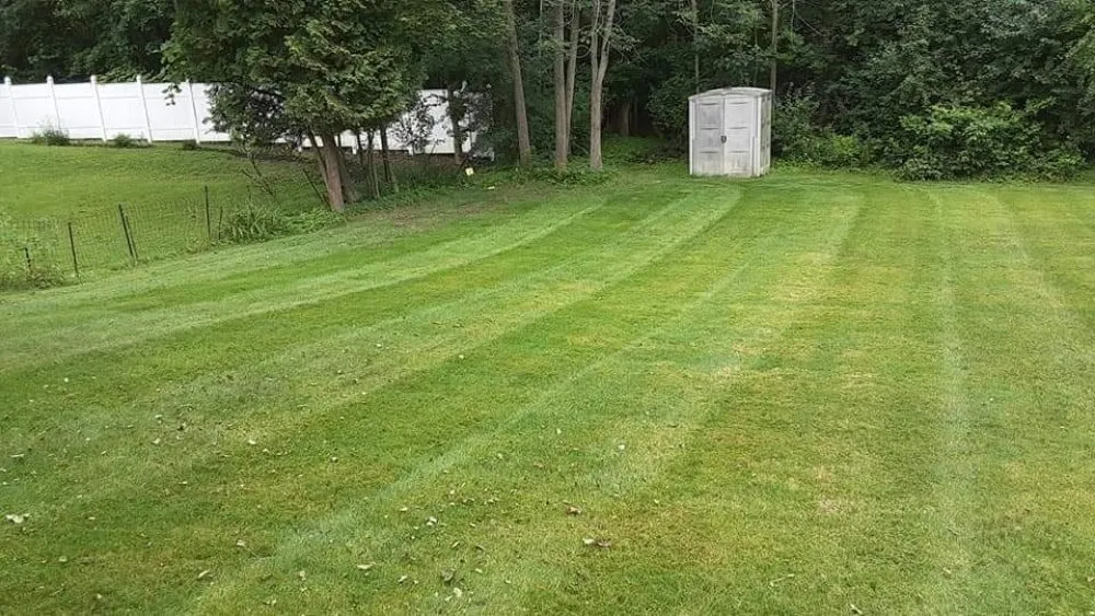 Affordable yard cleanup service experts serving Lake View, NY - Outstanding Outdoors