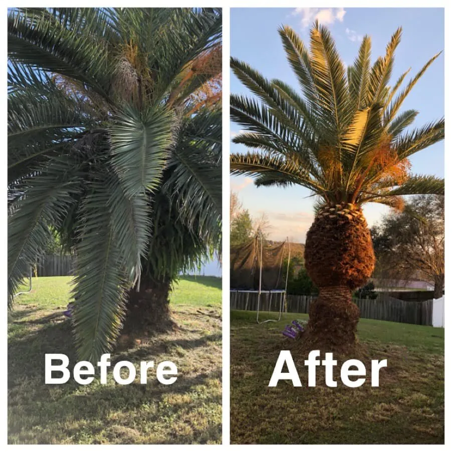 Local garden landscaping near you in Fruitland Park, FL by Outward Progressions