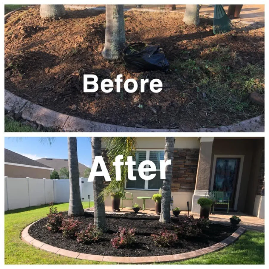 Reliable lawn care service for year-round maintenance across Fruitland Park, FL - Outward Progressions