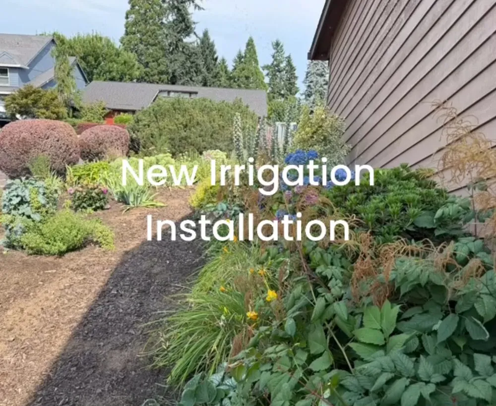 Trusted outdoor landscaping in Beaverton, OR by OV Irrigation Solutions & Landscaping