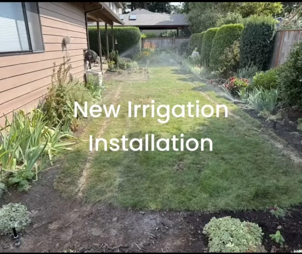 Professional yard cleanup service in Beaverton, OR by OV Irrigation Solutions & Landscaping