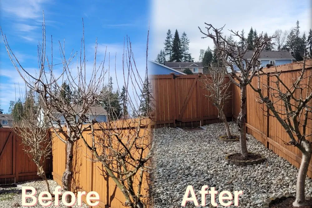 Professional residential landscaping in Marysville, WA by OV Landscape