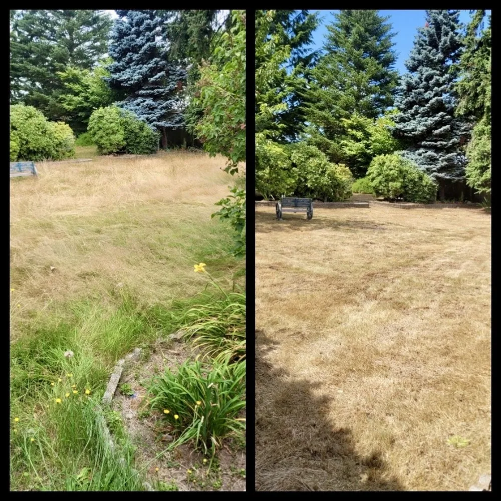 Affordable residential landscaping in Marysville, WA - OV Landscape