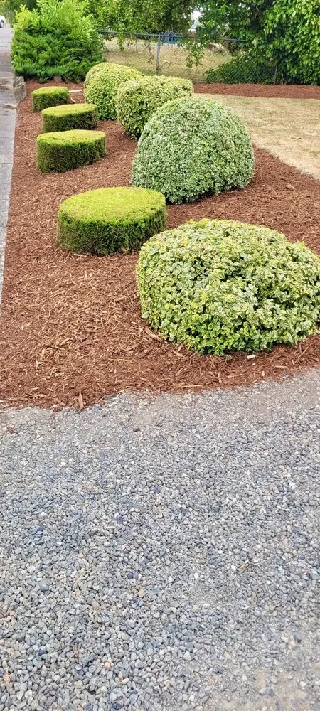Top-rated residential landscaping in Marysville, WA - OV Landscape