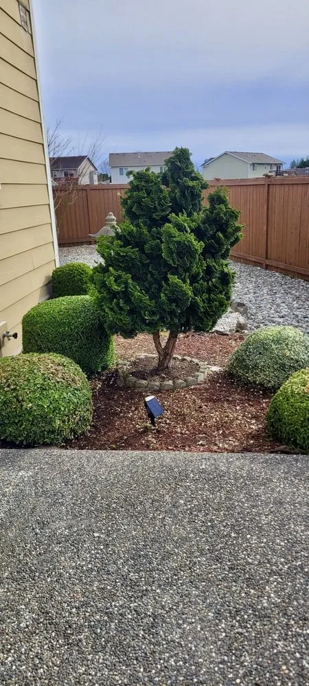 Local lawn mowing service for residential properties across Marysville, WA - OV Landscape