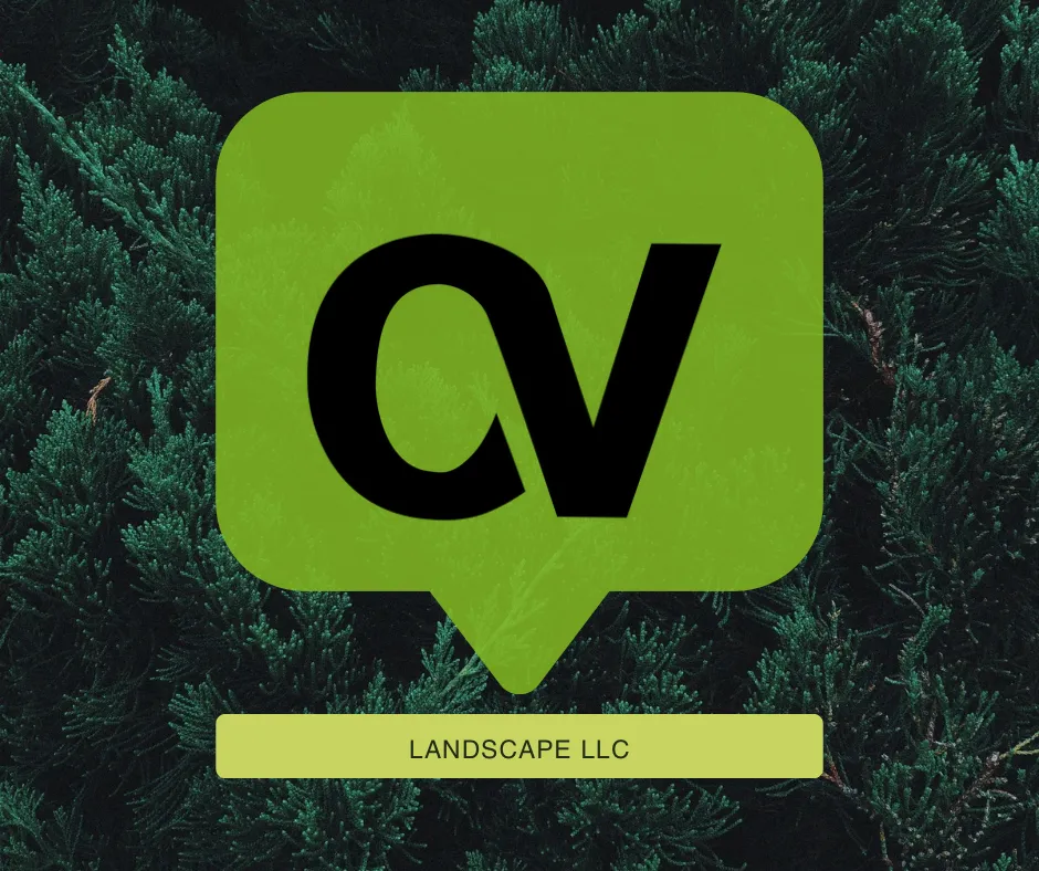 Reliable yard cleanup service for year-round maintenance in Marysville, WA by OV Landscape