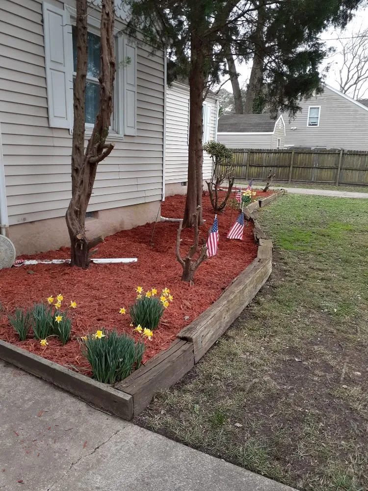 Reliable lawn mowing service in Norfolk, VA - OV Lawncare & Landscaping