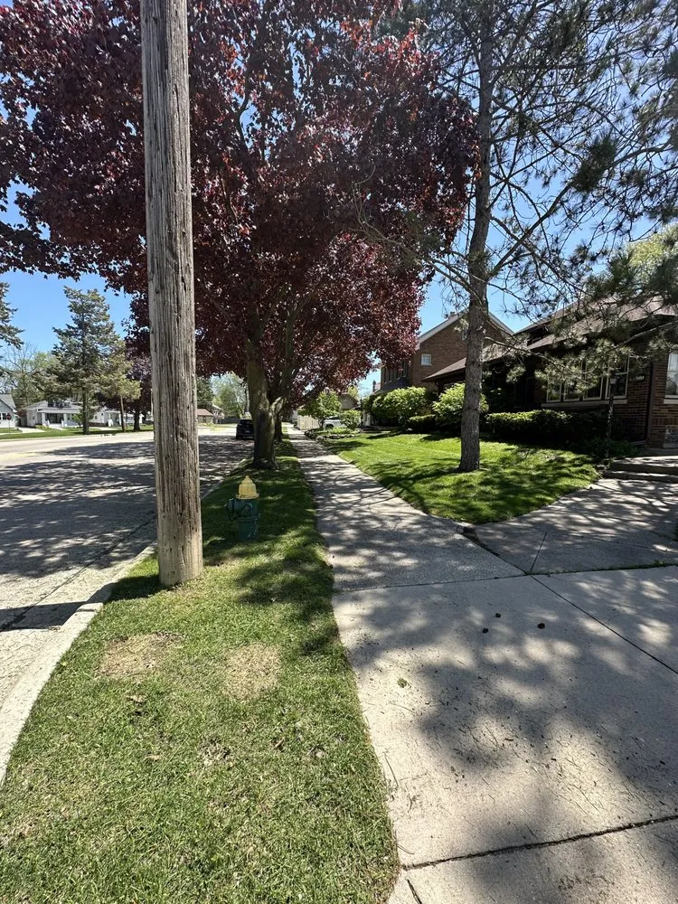 Trusted yard maintenance experts serving Racine, WI - Ovalle Lawn Service Tree and Snow Removal