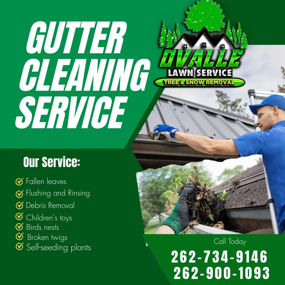 Expert yard cleanup service for residential properties in Racine, WI by Ovalle Lawn Service Tree and Snow Removal