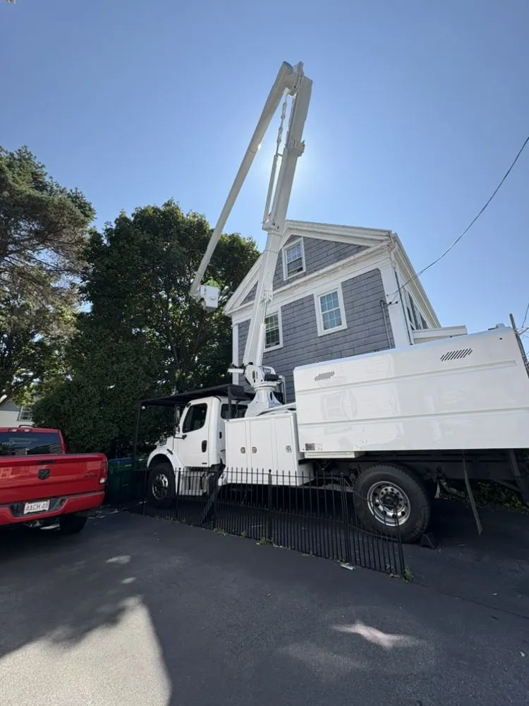 Reliable lawn care service in Lynn, MA - Ovalle Tree Service & Landscaping