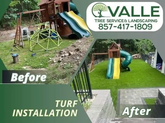 Reliable yard cleanup service in Lynn, MA - Ovalle Tree Service & Landscaping