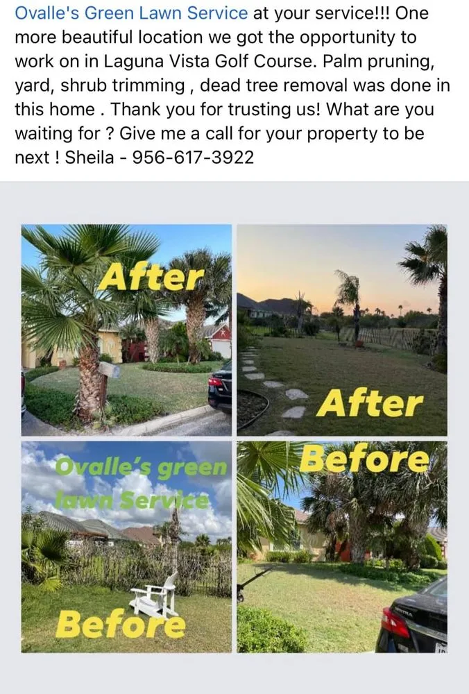 Custom yard maintenance for homes in Port Isabel, TX by Ovalle's Green Lawn Service