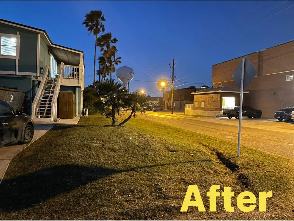 Trusted yard cleanup service near you in Port Isabel, TX by Ovalle's Green Lawn Service